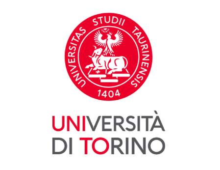 università degli studi di torino